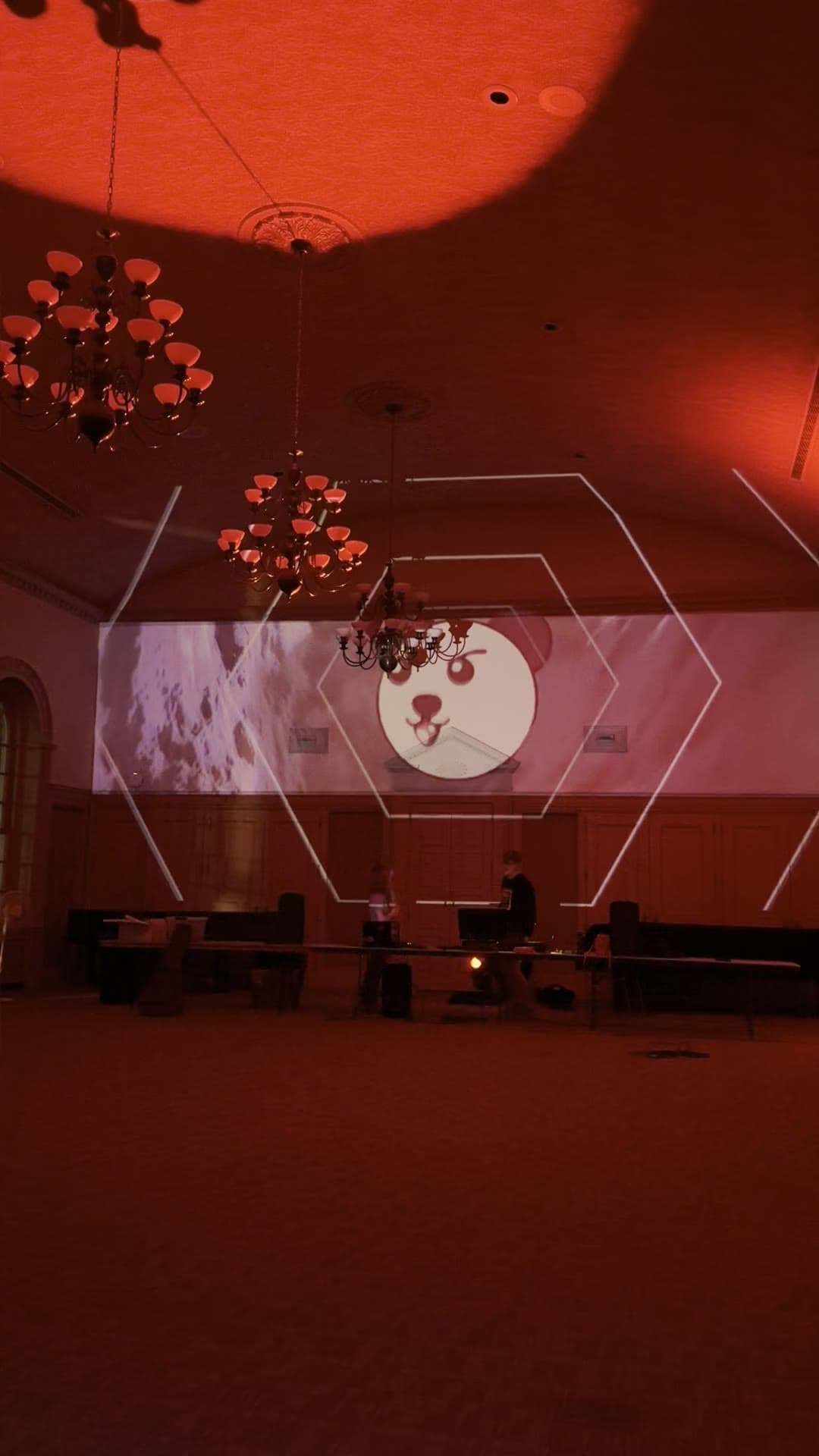 Projection mapping at the Disuko rave