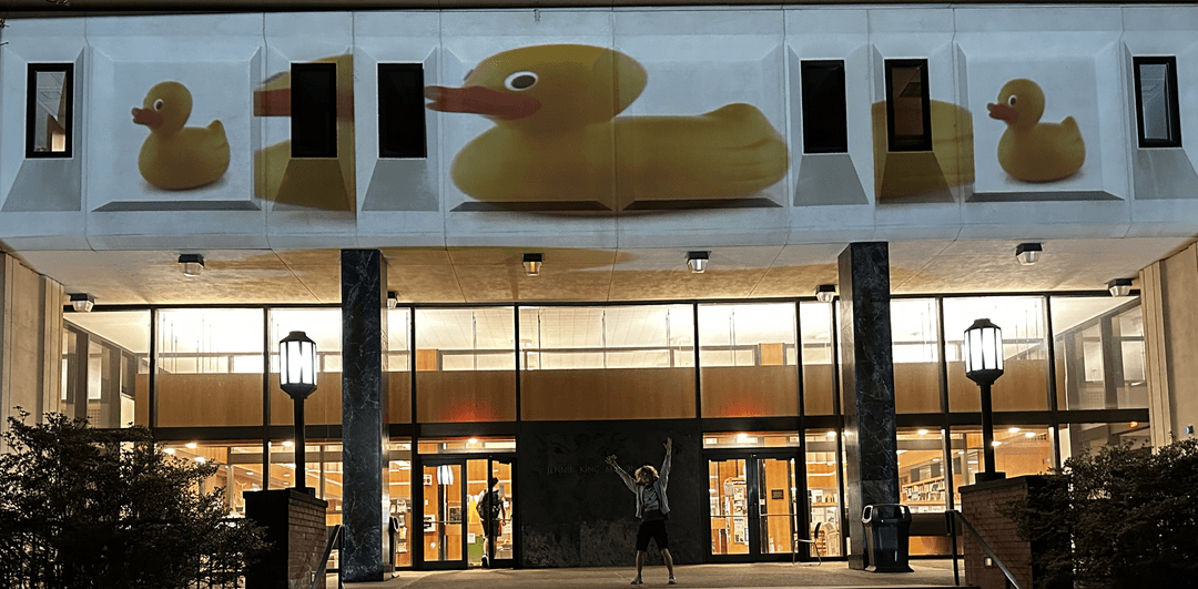 Library projection show